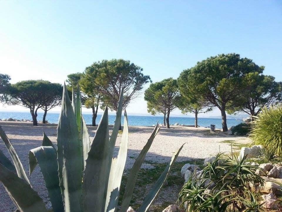 Apartment Dora Crikvenica Εξωτερικό φωτογραφία